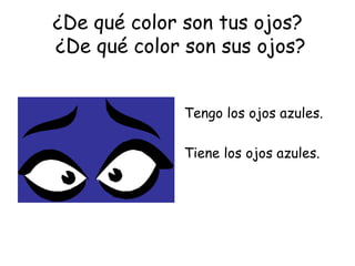 ¿De qué color son tus ojos?  ¿De qué color son sus ojos? Tengo los ojos azules. Tiene los ojos azules. 