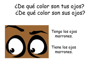 ¿De qué color son tus ojos?  ¿De qué color son sus ojos? Tengo los ojos marrones. Tiene los ojos marrones. 