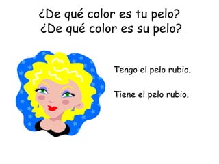 ¿De qué color es tu pelo?  ¿De qué color es su pelo? Tengo el pelo rubio. Tiene el pelo rubio. 