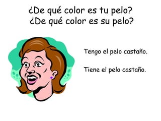 ¿De qué color es tu pelo?  ¿De qué color es su pelo? Tengo el pelo castaño. Tiene el pelo castaño. 