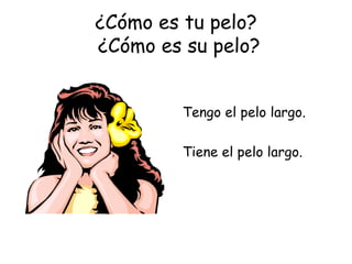 ¿Cómo es tu pelo?  ¿Cómo es su pelo? Tengo el pelo largo. Tiene el pelo largo. 