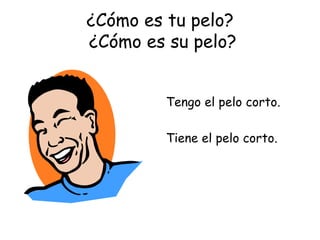 ¿Cómo es tu pelo?  ¿Cómo es su pelo? Tengo el pelo corto. Tiene el pelo corto. 