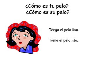 ¿Cómo es tu pelo?  ¿Cómo es su pelo? Tengo el pelo liso. Tiene el pelo liso. 