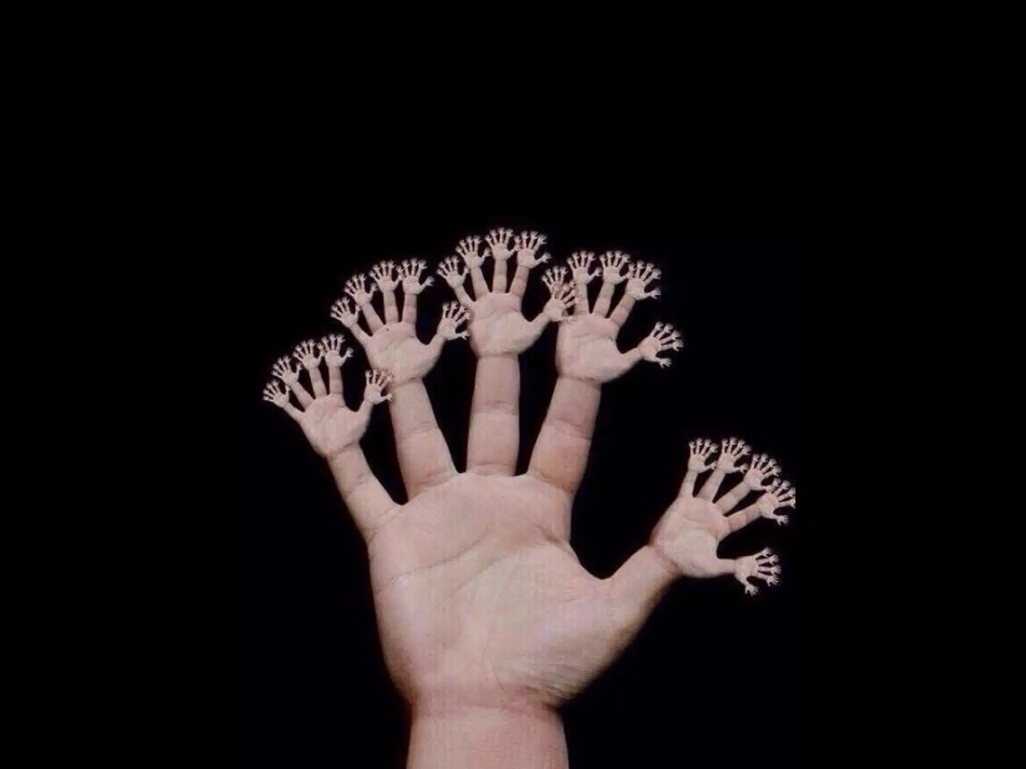 F R A C TA L
O M Á X I M O P O S S Í V E L
 