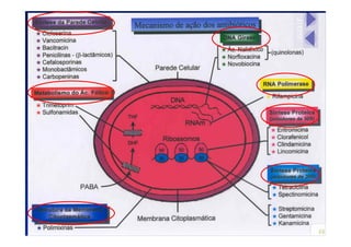 MECANISMOS DE AÇÃO DOS
ANTIBIÓTICOS
 