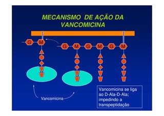 M
G
M
G M
G M
G
Vancomicina
Vancomicina se liga
ao D-Ala-D-Ala;
impedindo a
transpeptidação
MECANISMO DE AÇÃO DA
VANCOMICINA
 