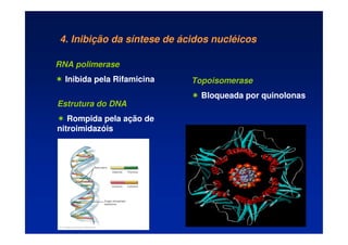 4. Inibição da síntese de ácidos nucléicos
RNA polimerase
 Inibida pela Rifamicina
Estrutura do DNA
 Rompida pela ação de
nitroimidazóis
Topoisomerase
 Bloqueada por quinolonas
 