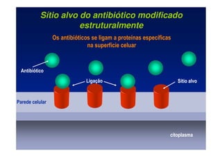 Sítio alvo do antibiótico modificado
estruturalmente
citoplasma
Parede celular
Sítio alvo
Ligação
Antibiótico
Os antibióticos se ligam a proteínas específicas
na superfície celuar
 