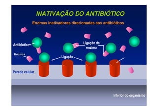 INATIVAÇÃO DO ANTIBIÓTICO
Ligação da
enzima
Enzimas inativadoras direcionadas aos antibióticos
Antibiótico
Enzima
Parede celular
Ligação
Interior do organismo
 