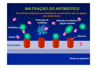 INATIVAÇÃO DO ANTIBIÓTICO
Parede Celular
Sítio alvo
Enzima
Destruição do
antibiótico
Alteração do antibiótico,
ligação impedida
As enzimas destroem os antibióticos ou previnem que se liguem
aos sítios alvos
Antibiótico
Interior do organismo
 