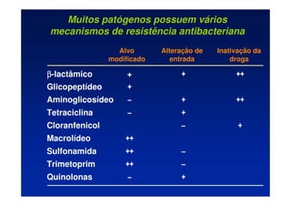 Muitos patógenos possuem vários
mecanismos de resistência antibacteriana
+
–
Quinolonas
–
++
Trimetoprim
–
++
Sulfonamida
++
Macrolídeo
+
–
Cloranfenicol
+
–
Tetraciclina
++
+
–
Aminoglicosídeo
+
Glicopeptídeo
++
+
+
β
β
β
β-lactâmico
Alvo
modificado
Alteração de
entrada
Inativação da
droga
 