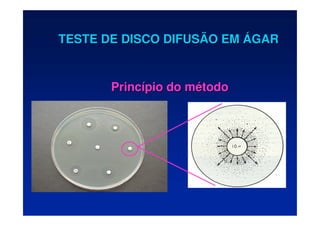 TESTE DE DISCO DIFUSÃO EM
TESTE DE DISCO DIFUSÃO EM Á
ÁGAR
GAR
Princ
Princí
ípio do m
pio do mé
étodo
todo
 