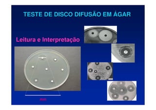 TESTE DE DISCO DIFUSÃO EM
TESTE DE DISCO DIFUSÃO EM Á
ÁGAR
GAR
Leitura e Interpreta
Leitura e Interpretaç
ção
ão
mm
mm
 