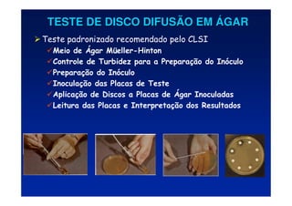 TESTE DE DISCO DIFUSÃO EM
TESTE DE DISCO DIFUSÃO EM Á
ÁGAR
GAR
Teste padronizado recomendado pelo CLSI
Meio de Ágar Müeller-Hinton
Controle de Turbidez para a Preparação do Inóculo
Preparação do Inóculo
Inoculação das Placas de Teste
Aplicação de Discos a Placas de Ágar Inoculadas
Leitura das Placas e Interpretação dos Resultados
 