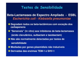 Testes de Sensibilidade
Testes de Sensibilidade
Degradam todos os beta-lactâmicos com exceção dos
carbapenens
“Sensíveis” (in vitro) aos inibidores de beta-lactamases
(ácido clavulânico, sulbactam e tazobactam)
Não são normalmente detectadas por testes de
sensibilidade
Mediadas por genes plasmidiais não induzíveis
Derivadas das enzimas TEM-1 e SHV-1
Beta-Lactamases de Espectro Ampliado - ESBL
Escherichia coli - Klebsiella pneumoniae
 