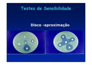 Testes de Sensibilidade
Testes de Sensibilidade
Disco -aproximação
 