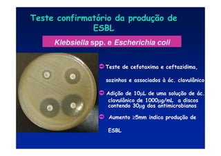 Klebsiella spp. e Escherichia coli
· Teste de cefotaxima e ceftazidima,
sozinhos e associados à ác. clavulânico
· Adição de 10µ
µ
µ
µL de uma solução de ác.
clavulânico de 1000µ
µ
µ
µg/mL a discos
contendo 30µ
µ
µ
µg dos antimicrobianos
· Aumento ≥
≥
≥
≥5mm indica produção de
ESBL
Teste confirmat
Teste confirmató
ório da produ
rio da produç
ção de
ão de
ESBL
ESBL
 