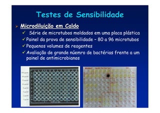Testes de Sensibilidade
Testes de Sensibilidade

 Microdilui
Microdiluiç
ção em Caldo
ão em Caldo
 Série de microtubos moldados em uma placa plástica
 Painel da prova de sensibilidade – 80 a 96 microtubos
 Pequenos volumes de reagentes
 Avaliação de grande núemro de bactérias frente a um
painel de antimicrobianos
 