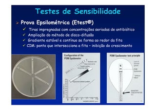 Testes de Sensibilidade
Testes de Sensibilidade
 Prova Epsilométrica (Etest®)
 Tiras impregnadas com concentrações seriadas de antibiótico
 Ampliação do método de disco-difusão
 Gradiente estável e contínuo se forma ao redor da fita
 CIM: ponto que intersecciona a fita – inibição do crescimento
 