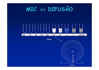 MIC
MIC ⇔
⇔
⇔
⇔
⇔
⇔
⇔
⇔ DIFUSÃO
DIFUSÃO
30
30
100 50 25 12.5 6.25 3.
100 50 25 12.5 6.25 3.12 .16 . 8 .4 contro
12 .16 . 8 .4 controle
le
50
50
25
25
12.5
12.5
6.25
6.25
3.12
3.12
18 mm
18 mm
µ
µ
µ
µ
µ
µ
µ
µg/mL
g/mL
 