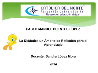 PABLO MANUEL PUENTES LOPEZ
La Didáctica un Ámbito de Reflexión para el
Aprendizaje
Docente: Sandra López Mora
2014
 