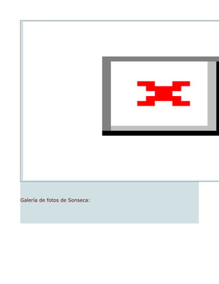 Galería de fotos de Sonseca:
 