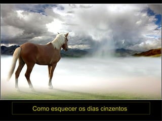 Como esquecer os dias cinzentos