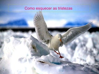 Como esquecer as tristezas