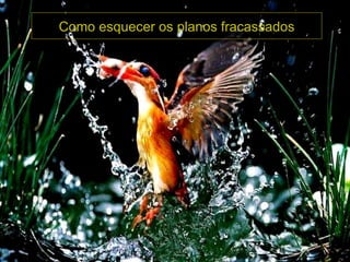 Como esquecer os planos fracassados