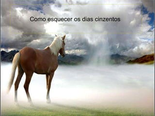 Como esquecer os dias cinzentos