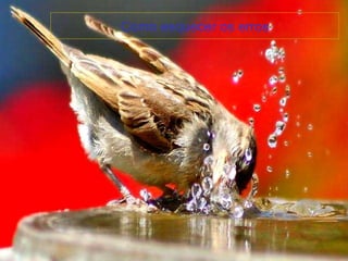 Como esquecer os erros