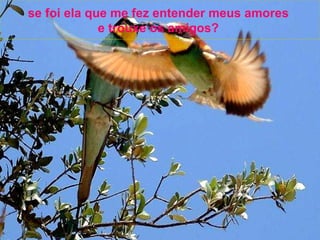 se foi ela que me fez entender meus amores e trouxe os amigos?