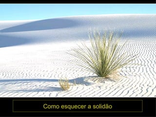 Como esquecer a solidão 