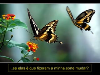 ...se elas é que fizeram a minha sorte mudar?