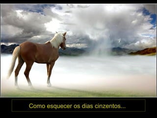 Como esquecer os dias cinzentos...