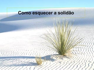 Como esquecer a solidão 