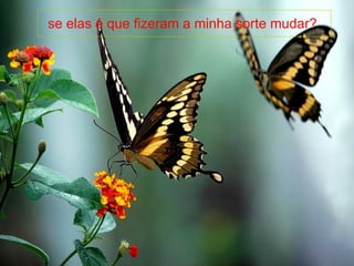 se elas é que fizeram a minha sorte mudar?   