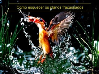 Como esquecer os planos fracassados 