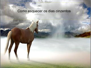 Como esquecer os dias cinzentos   