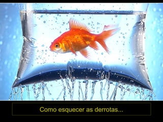 Como esquecer as derrotas...