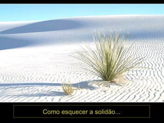 Como esquecer a solidão...