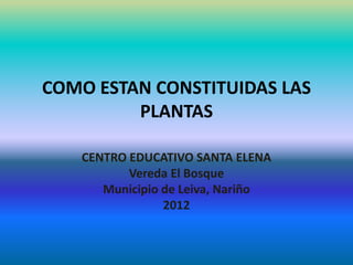 COMO ESTAN CONSTITUIDAS LAS
         PLANTAS

   CENTRO EDUCATIVO SANTA ELENA
          Vereda El Bosque
      Municipio de Leiva, Nariño
                2012
 