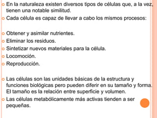  En la naturaleza existen diversos tipos de células que, a la vez,
tienen una notable similitud.
 Cada célula es capaz de llevar a cabo los mismos procesos:
 Obtener y asimilar nutrientes.
 Eliminar los residuos.
 Sintetizar nuevos materiales para la célula.
 Locomoción.
 Reproducción.
 Las células son las unidades básicas de la estructura y
funciones biológicas pero pueden diferir en su tamaño y forma.
El tamaño es la relación entre superficie y volumen.
 Las células metabólicamente más activas tienden a ser
pequeñas.
 