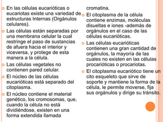  En las células eucarióticas o
eucariotas existe una variedad de
estructuras Internas (Orgánulos
celulares).
 Las células están separadas por
una membrana celular la cual
restringe el paso de sustancias
de afuera hacia el interior y
viceversa, y protege de esta
manera a la célula.
 Las células vegetales no
contienen pared celular.
 El núcleo de las células
eucarióticas está separado del
citoplasma.
 El núcleo contiene el material
genético, los cromosomas, que,
cuando la célula no está
dividiéndose, existen en una
forma extendida llamada
cromatina.
 El citoplasma de la célula
contiene enzimas, moléculas
disueltas e iones -además de
orgánulos en el caso de las
células eucarióticas.
 Las células eucarióticas
contienen una gran cantidad de
orgánulos, la mayoría de las
cuales no existen en las células
procarióticas o procariotas.
 El citoplasma eucariótico tiene un
cito esqueleto que sirve de
soporte y mantiene la forma de la
célula, le permite moverse, fija
sus orgánulos y dirige su tránsito.
 