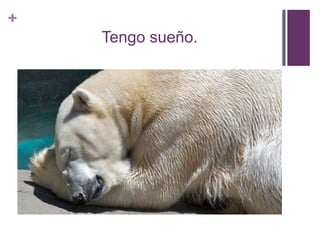 +
Tengo sueño.