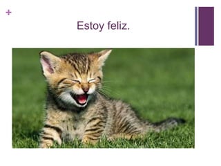 +
Estoy feliz.