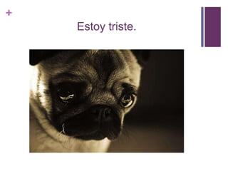 +
Estoy triste.