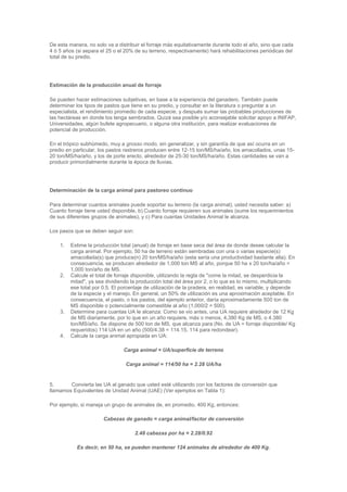 De esta manera, no solo va a distribuir el forraje más equitativamente durante todo el año, sino que cada
4 ó 5 años (si separa el 25 o el 20% de su terreno, respectivamente) hará rehabilitaciones periódicas del
total de su predio.
Estimación de la producción anual de forraje
Se pueden hacer estimaciones subjetivas, en base a la experiencia del ganadero. También puede
determinar los tipos de pastos que tiene en su predio, y consultar en la literatura o preguntar a un
especialista, el rendimiento promedio de cada especie, y después sumar las probables producciones de
las hectáreas en donde los tenga sembrados. Quizá sea posible y/o aconsejable solicitar apoyo a INIFAP,
Universidades, algún bufete agropecuario, o alguna otra institución, para realizar evaluaciones de
potencial de producción.
En el trópico subhúmedo, muy a grosso modo, sin generalizar, y sin garantía de que así ocurra en un
predio en particular, los pastos rastreros producen entre 12-15 ton/MS/ha/año, los amacollados, unas 15-
20 ton/MS/ha/año, y los de porte erecto, alrededor de 25-30 ton/MS/ha/año. Estas cantidades se van a
producir primordialmente durante la época de lluvias.
Determinación de la carga animal para pastoreo continuo
Para determinar cuantos animales puede soportar su terreno (la carga animal), usted necesita saber: a)
Cuanto forraje tiene usted disponible, b) Cuanto forraje requieren sus animales (sume los requerimientos
de sus diferentes grupos de animales), y c) Para cuantas Unidades Animal le alcanza.
Los pasos que se deben seguir son:
1. Estime la producción total (anual) de forraje en base seca del área de donde desee calcular la
carga animal. Por ejemplo, 50 ha de terreno están sembradas con una o varias especie(s)
amacollada(s) que produce(n) 20 ton/MS/ha/año (esta sería una productividad bastante alta). En
consecuencia, se producen alrededor de 1,000 ton MS al año, porque 50 ha x 20 ton/ha/año =
1,000 ton/año de MS.
2. Calcule el total de forraje disponible, utilizando la regla de "come la mitad, se desperdicia la
mitad", ya sea dividiendo la producción total del área por 2, o lo que es lo mismo, multiplicando
ese total por 0.5. El porcentaje de utilización de la pradera, en realidad, es variable, y depende
de la especie y el manejo. En general, un 50% de utilización es una aproximación aceptable. En
consecuencia, el pasto, o los pastos, del ejemplo anterior, daría aproximadamente 500 ton de
MS disponible o potencialmente comestible al año (1,000/2 = 500).
3. Determine para cuantas UA le alcanza: Como se vio antes, una UA requiere alrededor de 12 Kg
de MS diariamente, por lo que en un año requiere, más o menos, 4,380 Kg de MS, o 4.380
ton/MS/año. Se dispone de 500 ton de MS, que alcanza para (No. de UA = forraje disponible/ Kg
requeridos) 114 UA en un año (500/4.38 = 114.15, 114 para redondear).
4. Calcule la carga animal apropiada en UA:
Carga animal = UA/superficie de terreno
Carga animal = 114/50 ha = 2.28 UA/ha
5. Convierta las UA al ganado que usted esté utilizando con los factores de conversión que
llamamos Equivalentes de Unidad Animal (UAE) (Ver ejemplos en Tabla 1):
Por ejemplo, si maneja un grupo de animales de, en promedio, 400 Kg, entonces:
Cabezas de ganado = carga animal/factor de conversión
2.48 cabezas por ha = 2.28/0.92
Es decir, en 50 ha, se pueden mantener 124 animales de alrededor de 400 Kg.
 