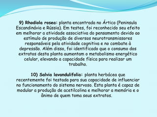 9) Rhodiola rosea: planta encontrada no Ártico (Peninsula
Escandinávia e Rússia). Em testes, foi reconhecido seu efeito
em melhorar a atividade associativa do pensamento devido ao
estímulo de produção de diversos neurotransmissores
responsáveis pela atividade cognitiva e no combate à
depressão. Além disso, foi identificado que o consumo dos
extratos desta planta aumentam o metabolismo energético
celular, elevando a capacidade física para realizar um
trabalho.
10) Salvia lavandulifolia: planta herbácea que
recentemente foi testada para sua capacidade de influenciar
no funcionamento do sistema nervoso. Esta planta é capaz de
modular a produção de acetilcolina e melhorar a memória e o
ânimo de quem toma seus extratos.
 