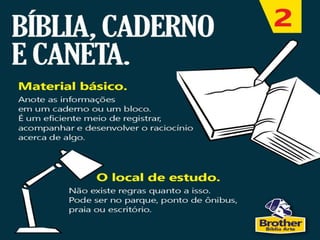 Como estudar a bíblia